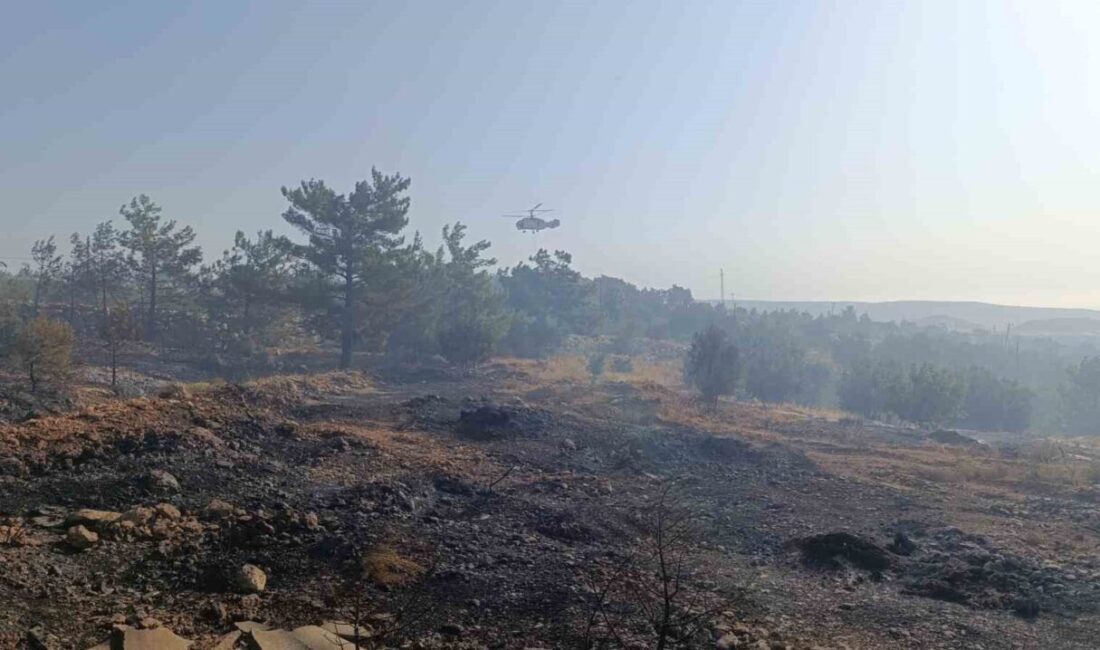 Mersin’in Silifke ilçesi sınırlarında sabaha karşı çıkan orman yangınına gün