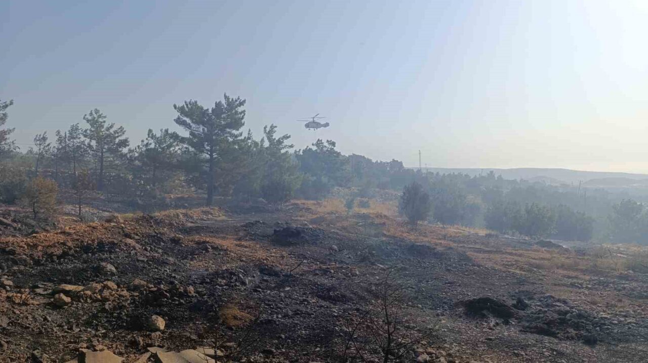 Mersin’in Silifke ilçesi sınırlarında sabaha karşı çıkan orman yangınına gün