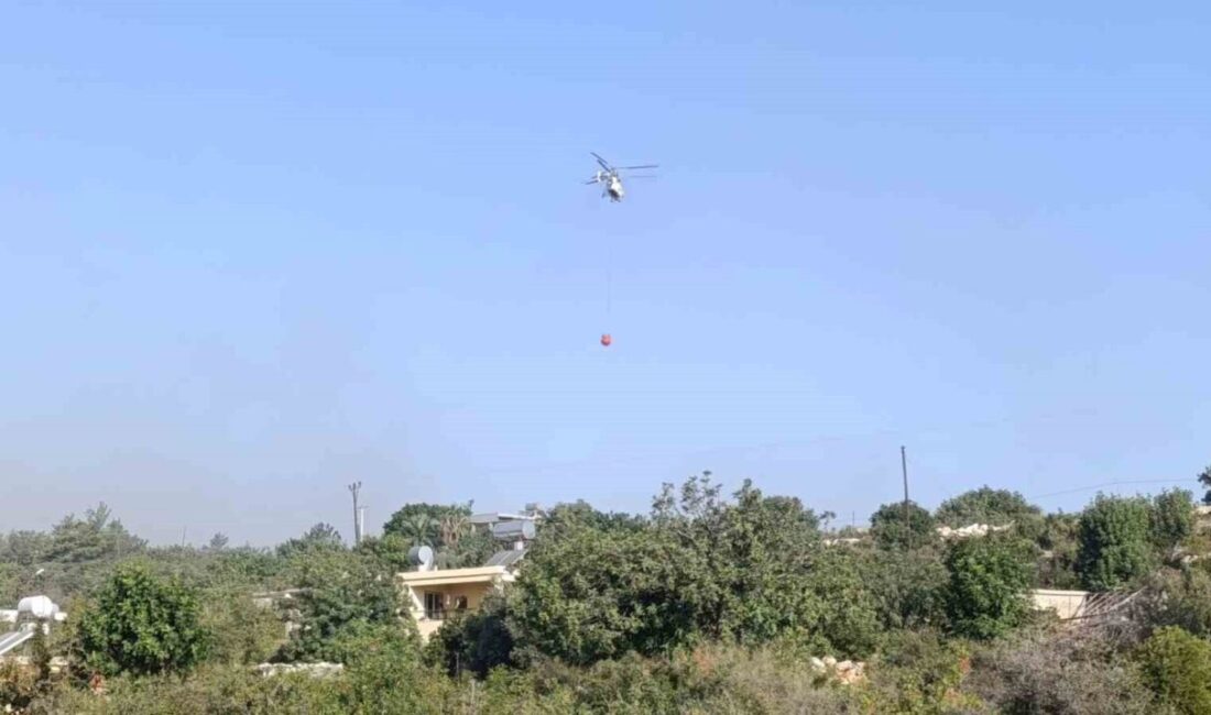 Mersin’in Silifke ilçesinde çıkan orman yangınına 2 uçak, 3 helikopter