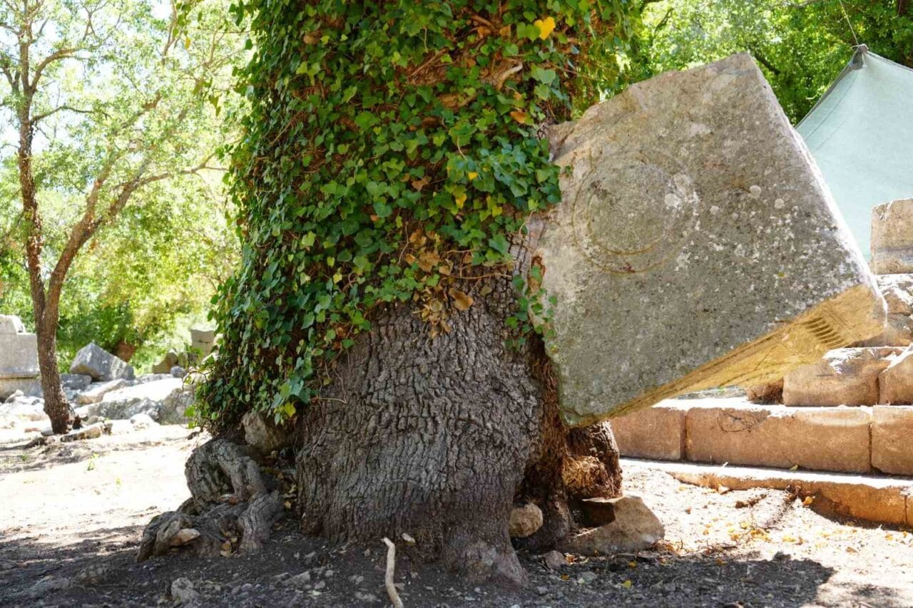 Antalya’da hem arkeolojik sit hem milli park alanı olan Termessos