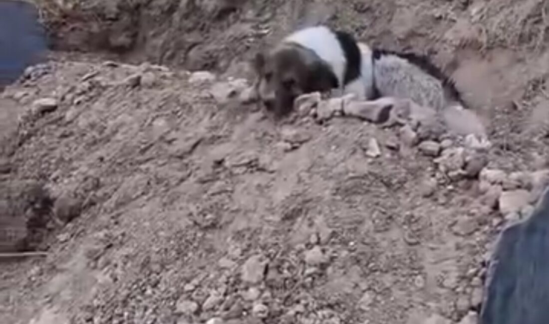 Van’da geçirdiği kalp krizi sonrası hayatını kaybeden 27 yaşındaki Muğdat