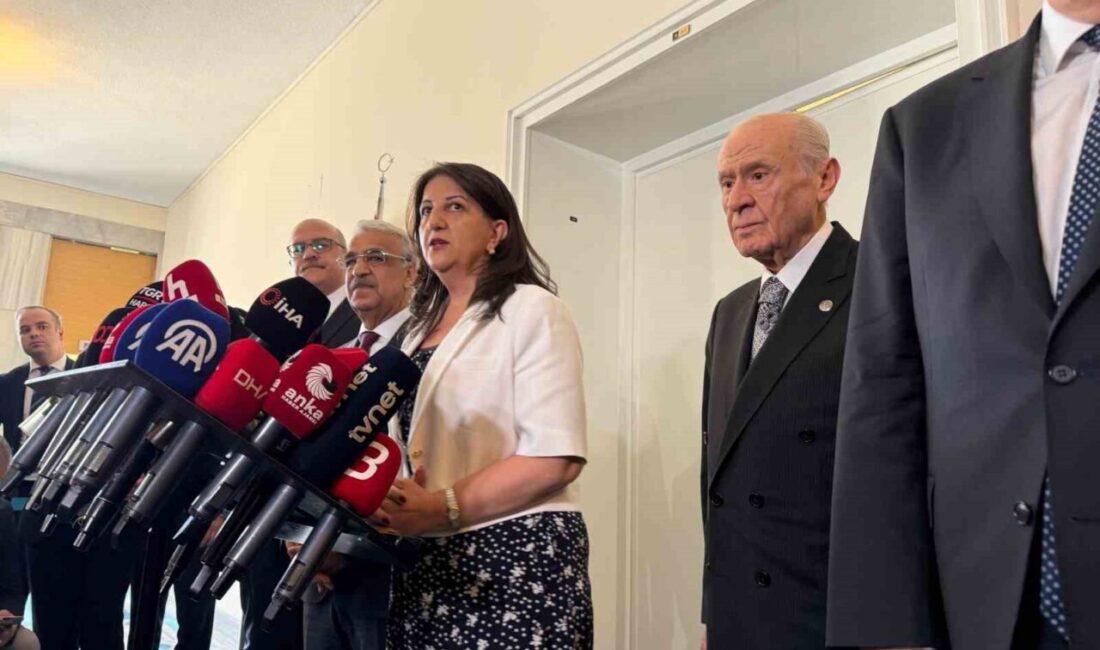 DEM Parti heyeti, Milliyetçi Hareket Partisi (MHP) Genel Başkanı Devlet