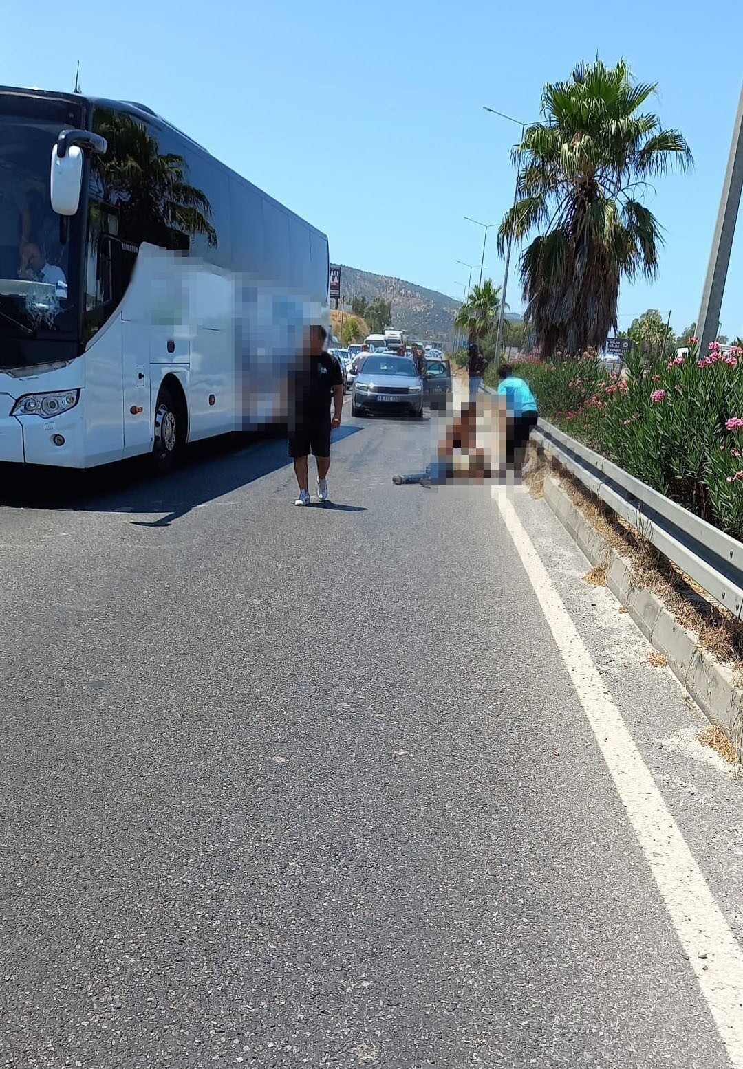 Muğla’nın Milas ilçesinde otoyolda karşıdan karşıya geçmeye çalışan yaya, yolcu