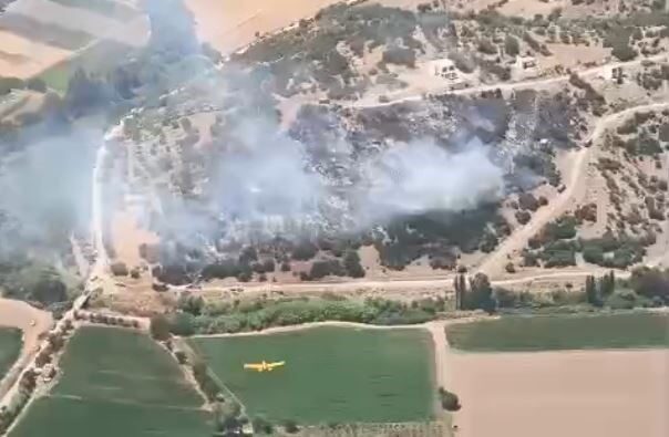 Muğla’nın Milas ilçesindeki bir ziraat alanında çıkan yangına ekiplerin hızlı