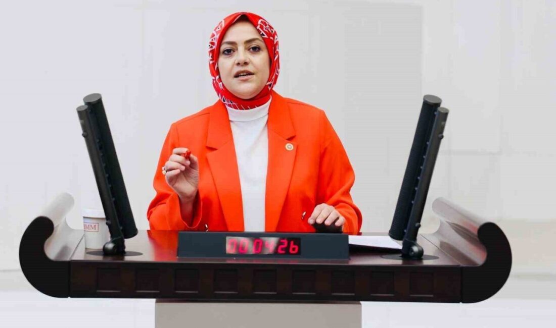 Gelecek Partisi Denizli Milletvekili Sema Silkin Ün, TBMM’de görüşülen sağlık
