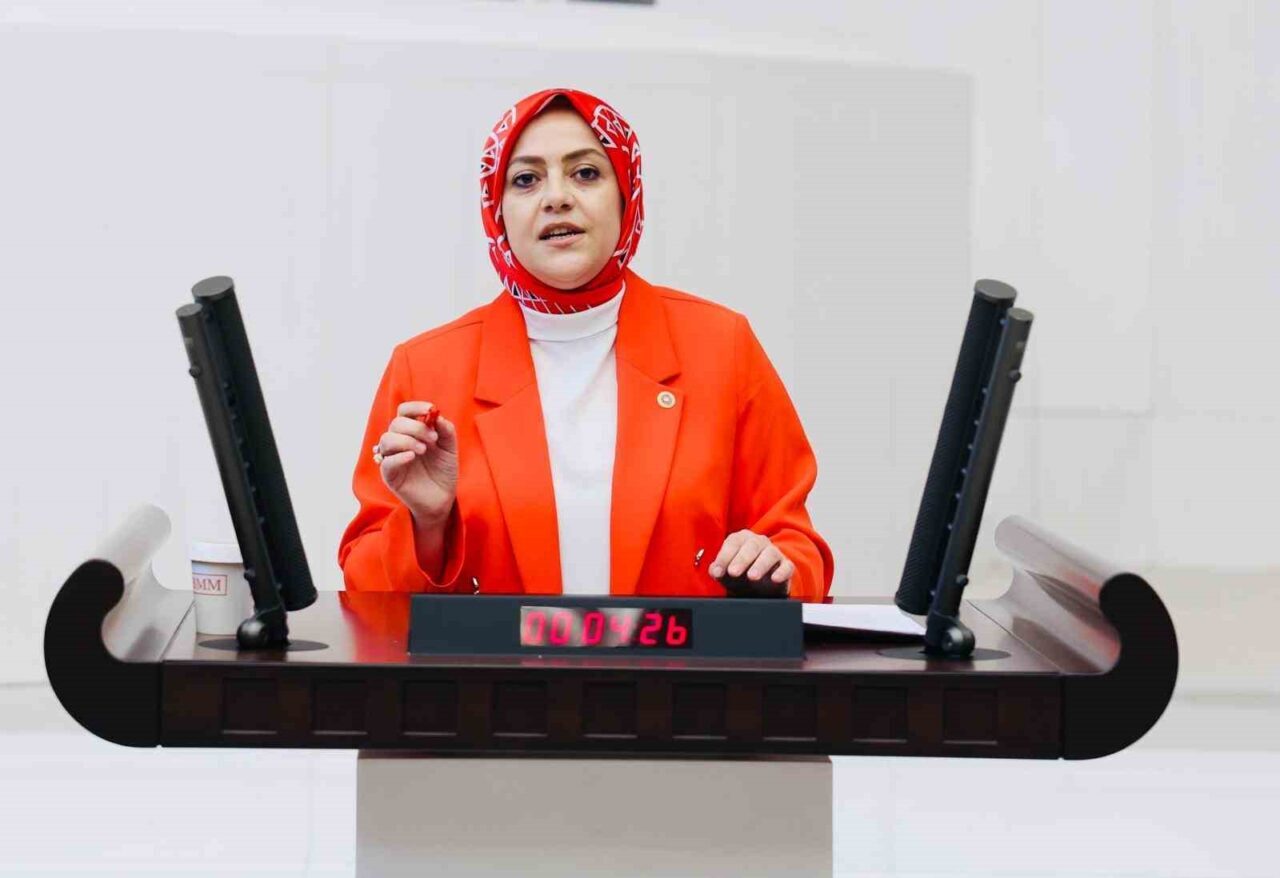 Gelecek Partisi Denizli Milletvekili Sema Silkin Ün, TBMM’de görüşülen sağlık