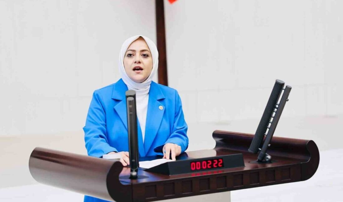 Gelecek Partisi Denizli Milletvekili Sema Silkin Ün, TBMM’de görüşülen maden