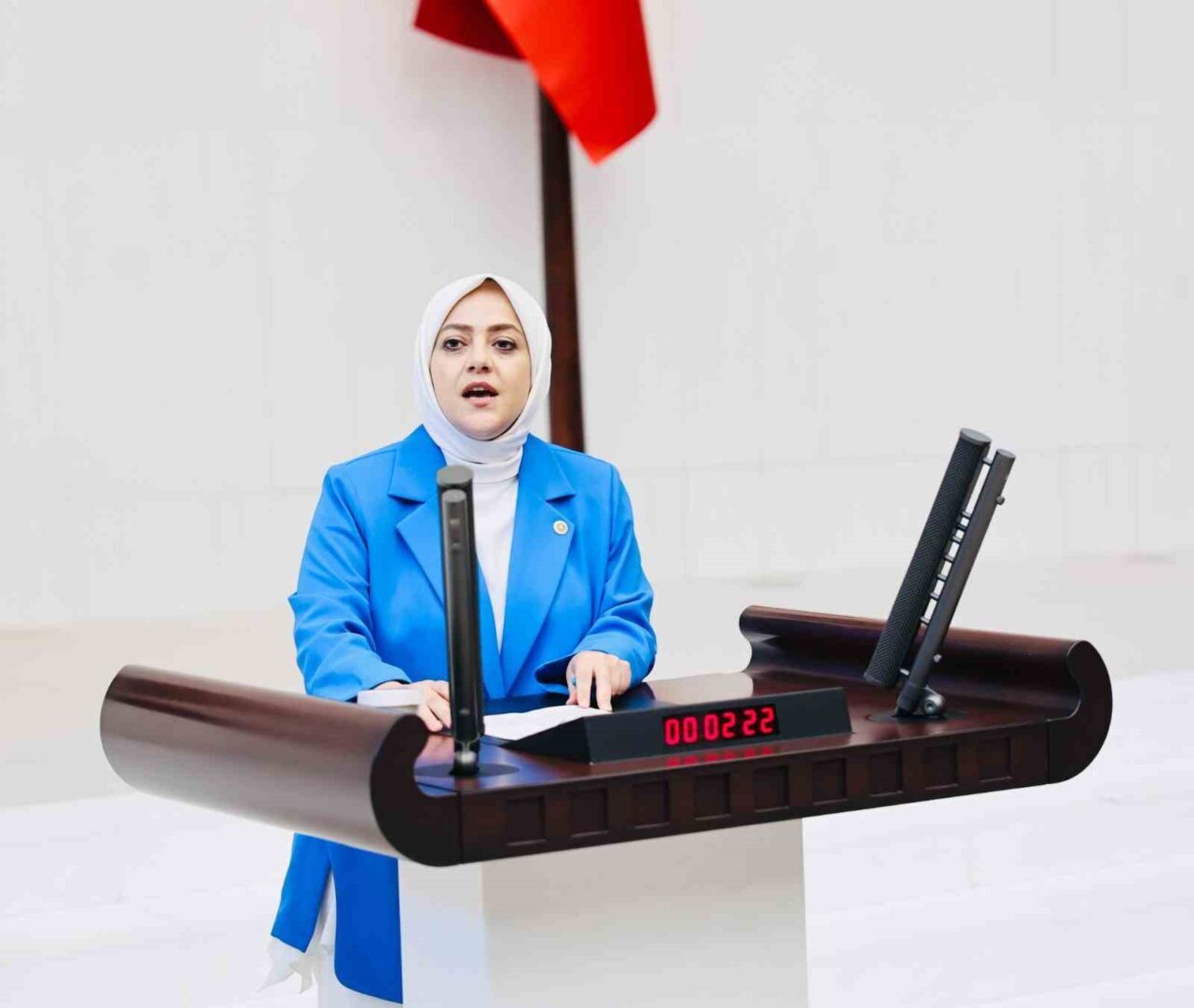 Gelecek Partisi Denizli Milletvekili Sema Silkin Ün, TBMM’de görüşülen maden