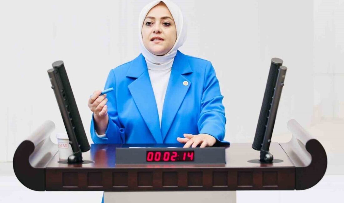 Gelecek Partisi Denizli Milletvekili Sema Silkin Ün, Hazine ve Maliye