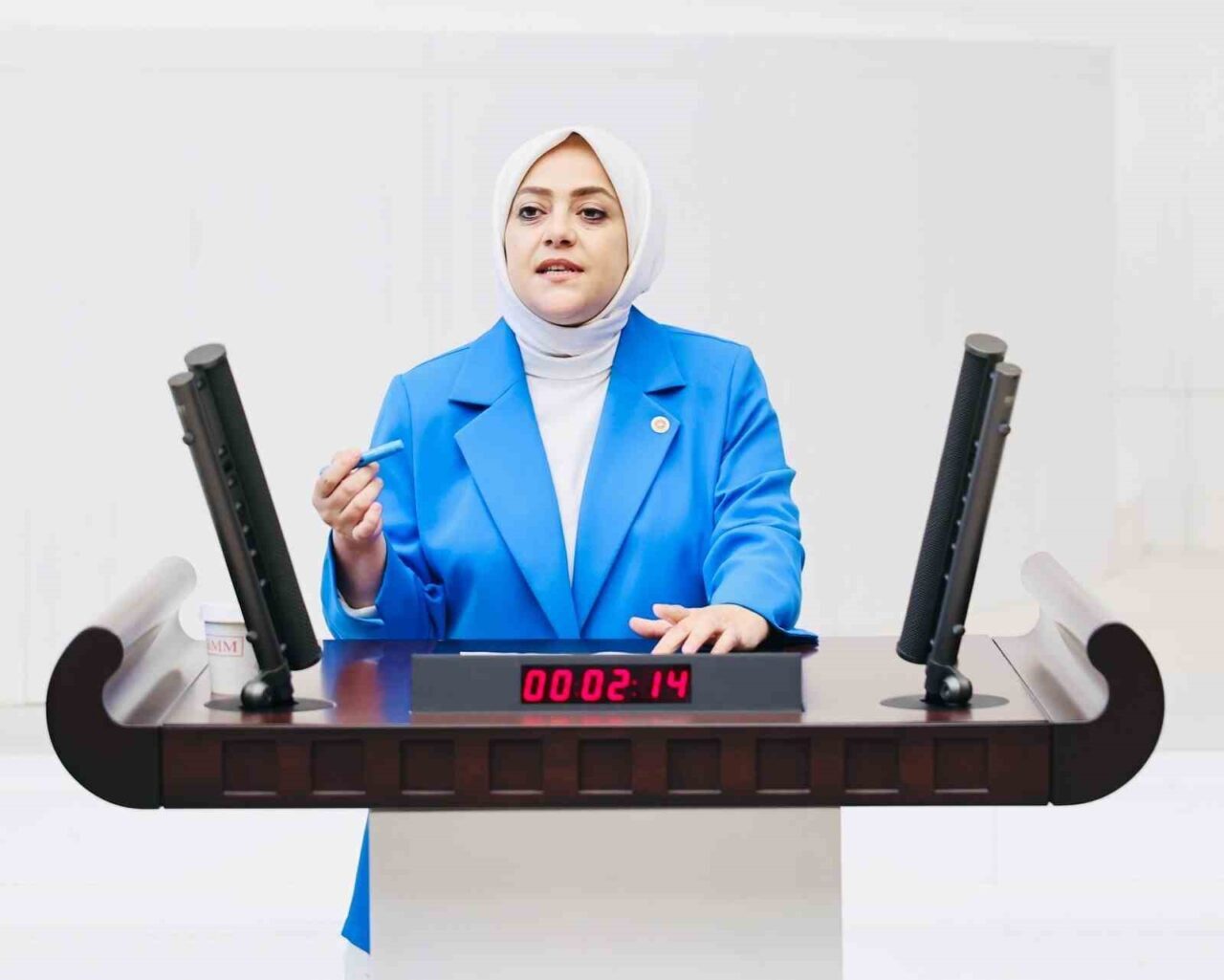 Gelecek Partisi Denizli Milletvekili Sema Silkin Ün, Hazine ve Maliye