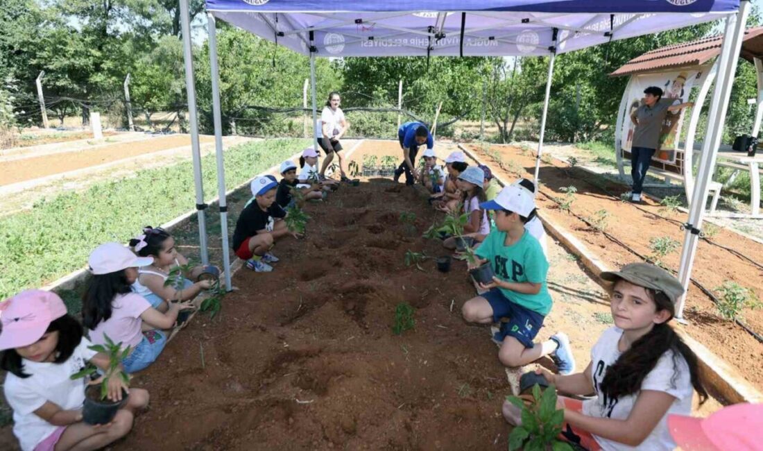 Muğla Büyükşehir Belediyesi, ‘Topraktan Sofraya: Minik Eller İşbaşında’ projesiyle çocukları