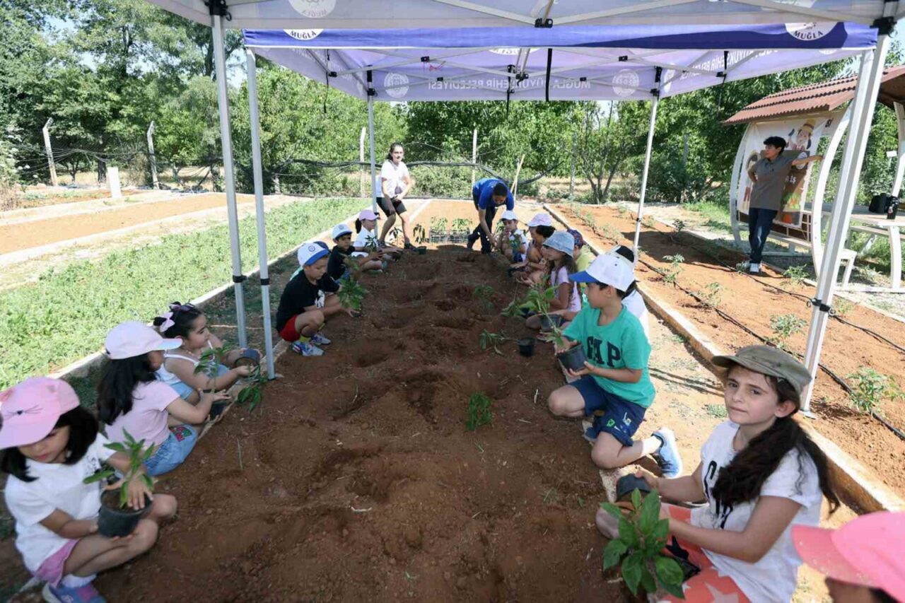 Muğla Büyükşehir Belediyesi, ‘Topraktan Sofraya: Minik Eller İşbaşında’ projesiyle çocukları