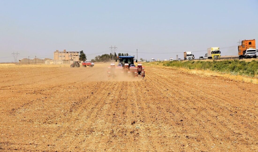 Dicle Elektrik, kuraklıkla mücadele kapsamında mısır üretimine getirilen yasağa rağmen