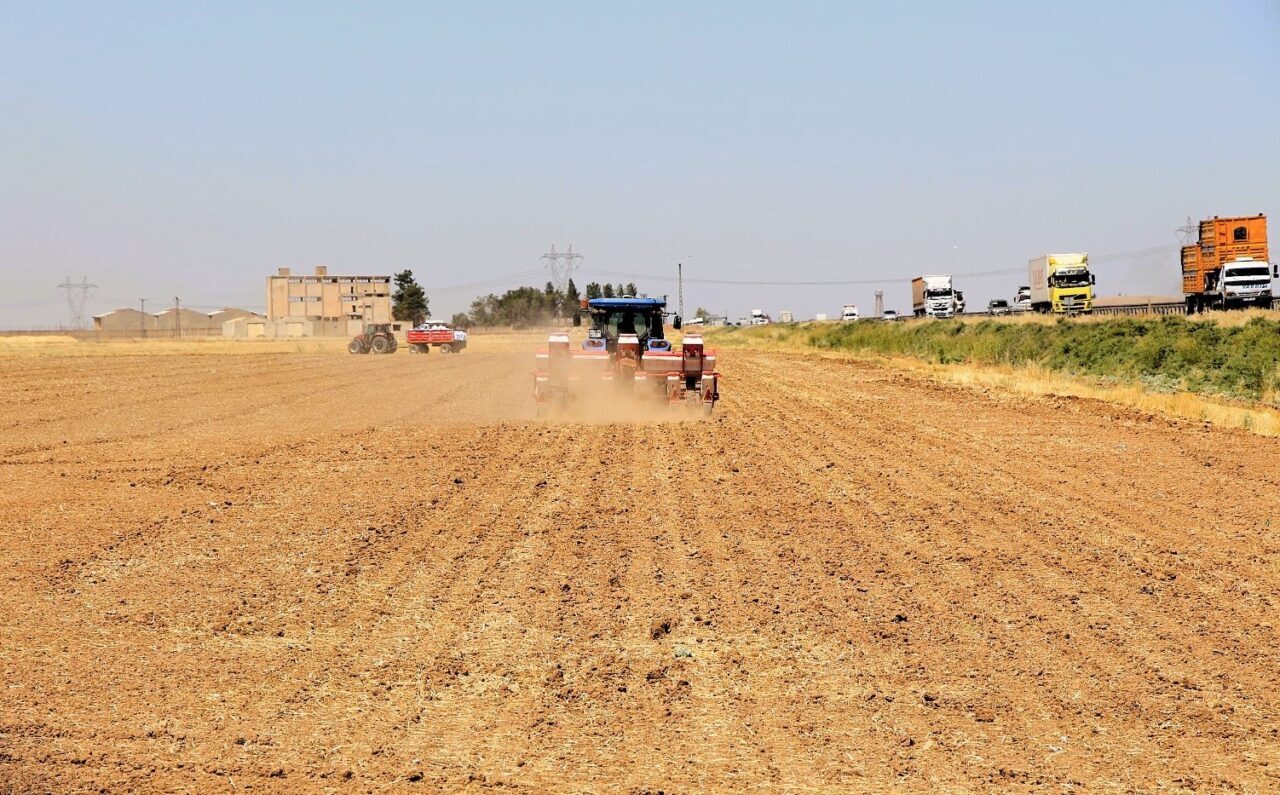 Dicle Elektrik, kuraklıkla mücadele kapsamında mısır üretimine getirilen yasağa rağmen