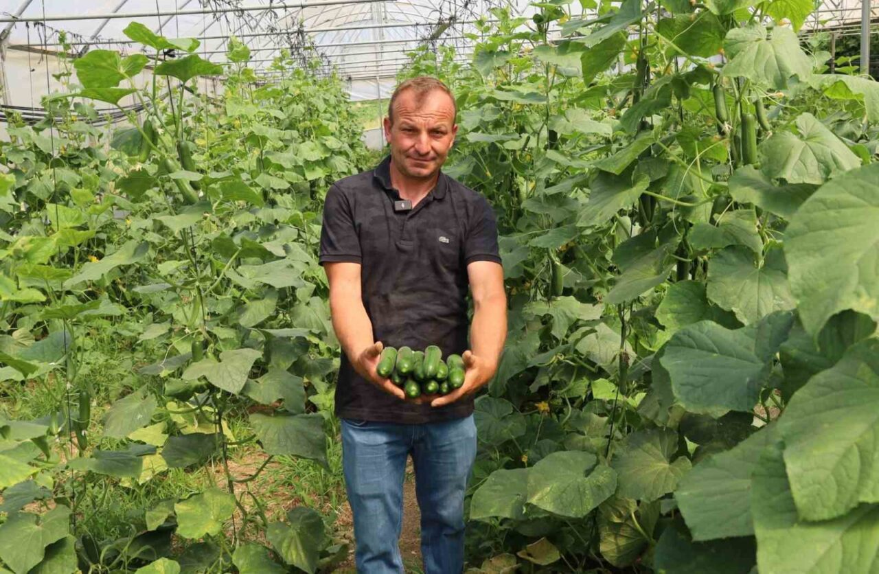 Kocaeli’de yüzde 50 hibeli gübre ve modern sera desteğinden yaralanan