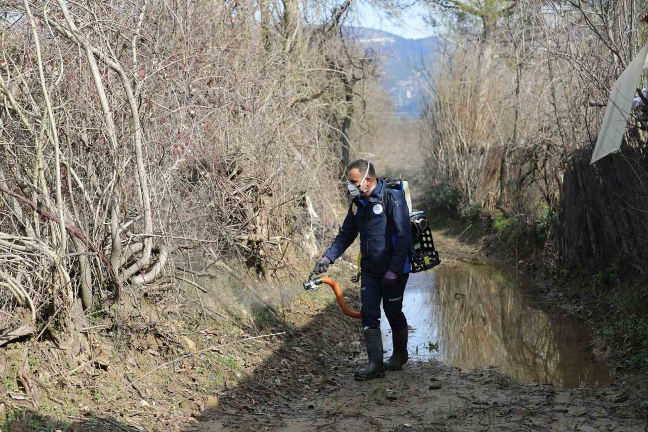 Muğla Büyükşehir Belediyesi, halk sağlığını korumak ve yaz aylarında artış