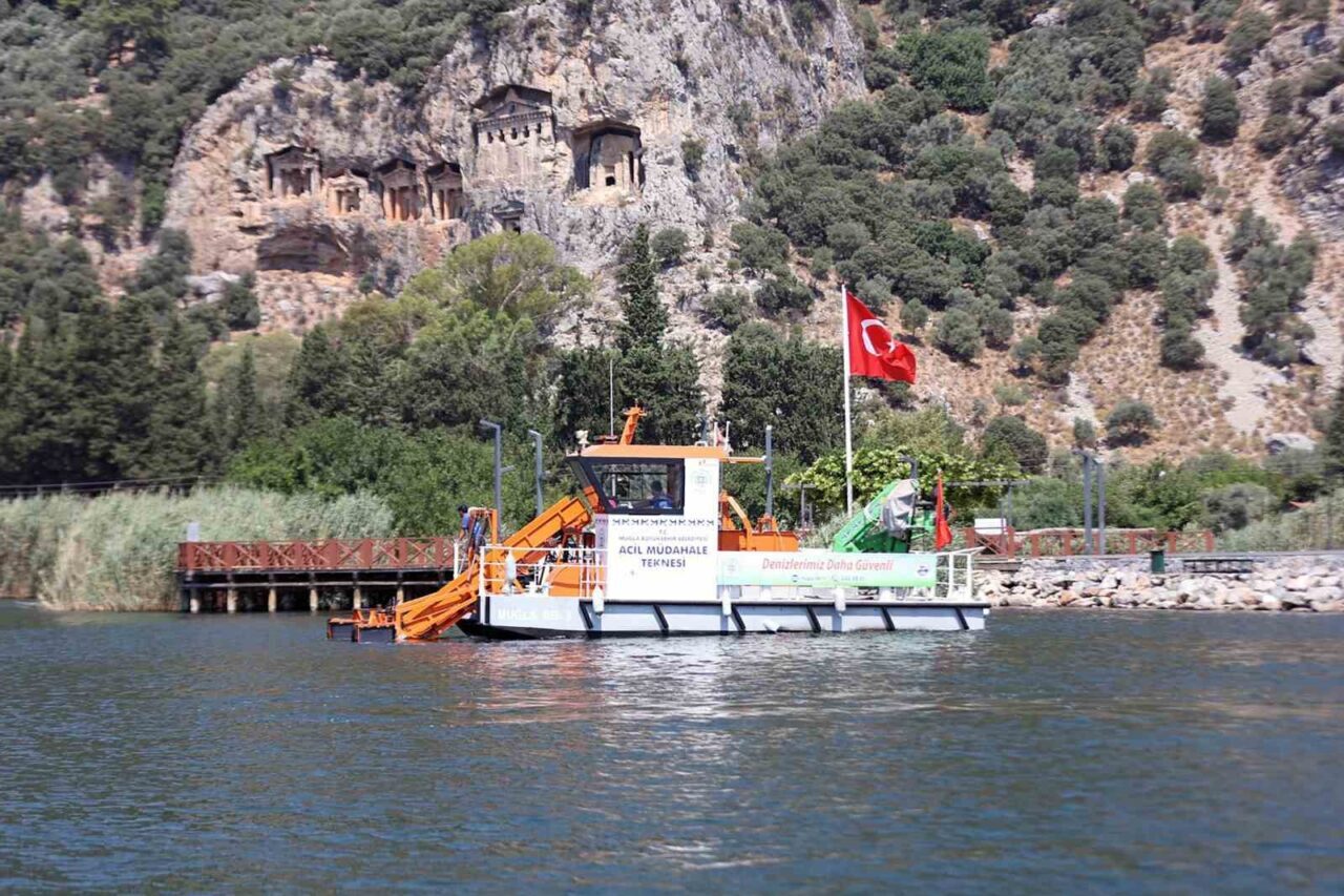 Muğla Büyükşehir Belediyesi, nesli tükenme tehlikesi altındaki Caretta caretta kaplumbağalarının