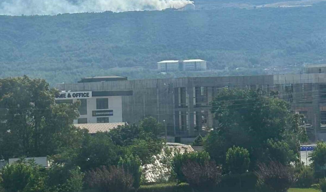 Muğla’nın Menteşe ilçesinde bulunan çöp deponi ve geri dönüşüm tesislerinde