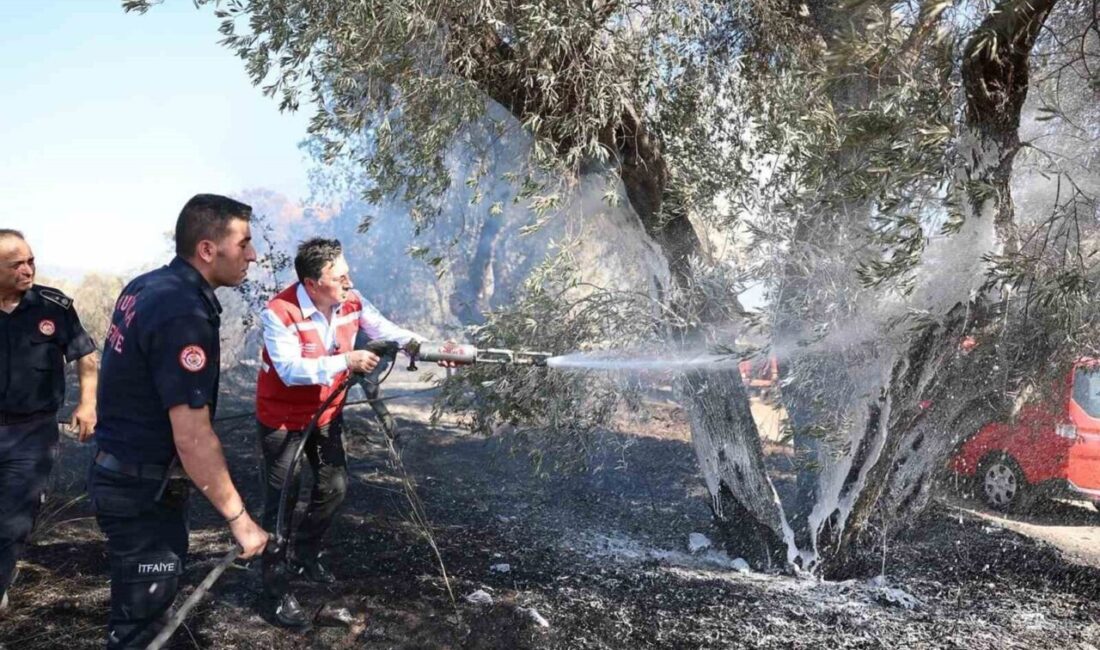 Hava sıcaklıklarının mevsim normallerinin üzerinde seyretmesi insan sağlığını tehdit ederken