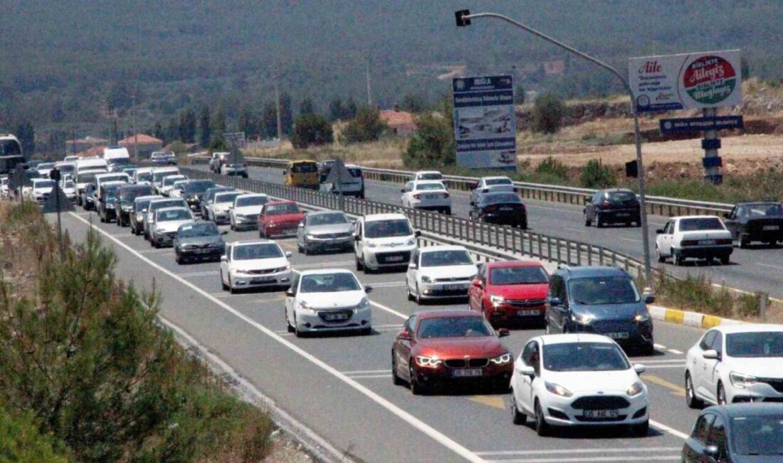 Türkiye İstatistik Kurumu 2025 yılı Mayıs ayı Motorlu Kara Araçları