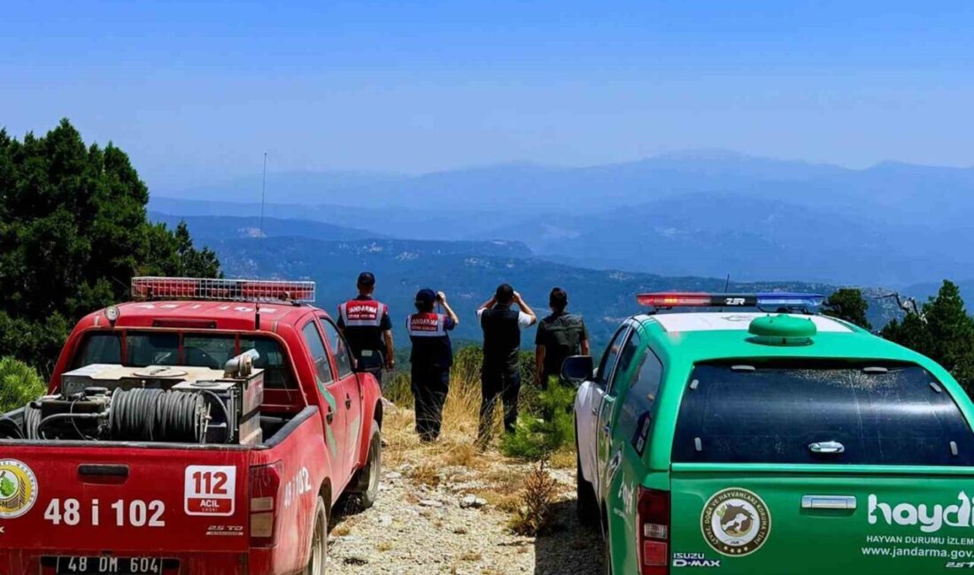 Yüzde 67’si ormanlarla kaplı ve yangına en hassas iller arasında