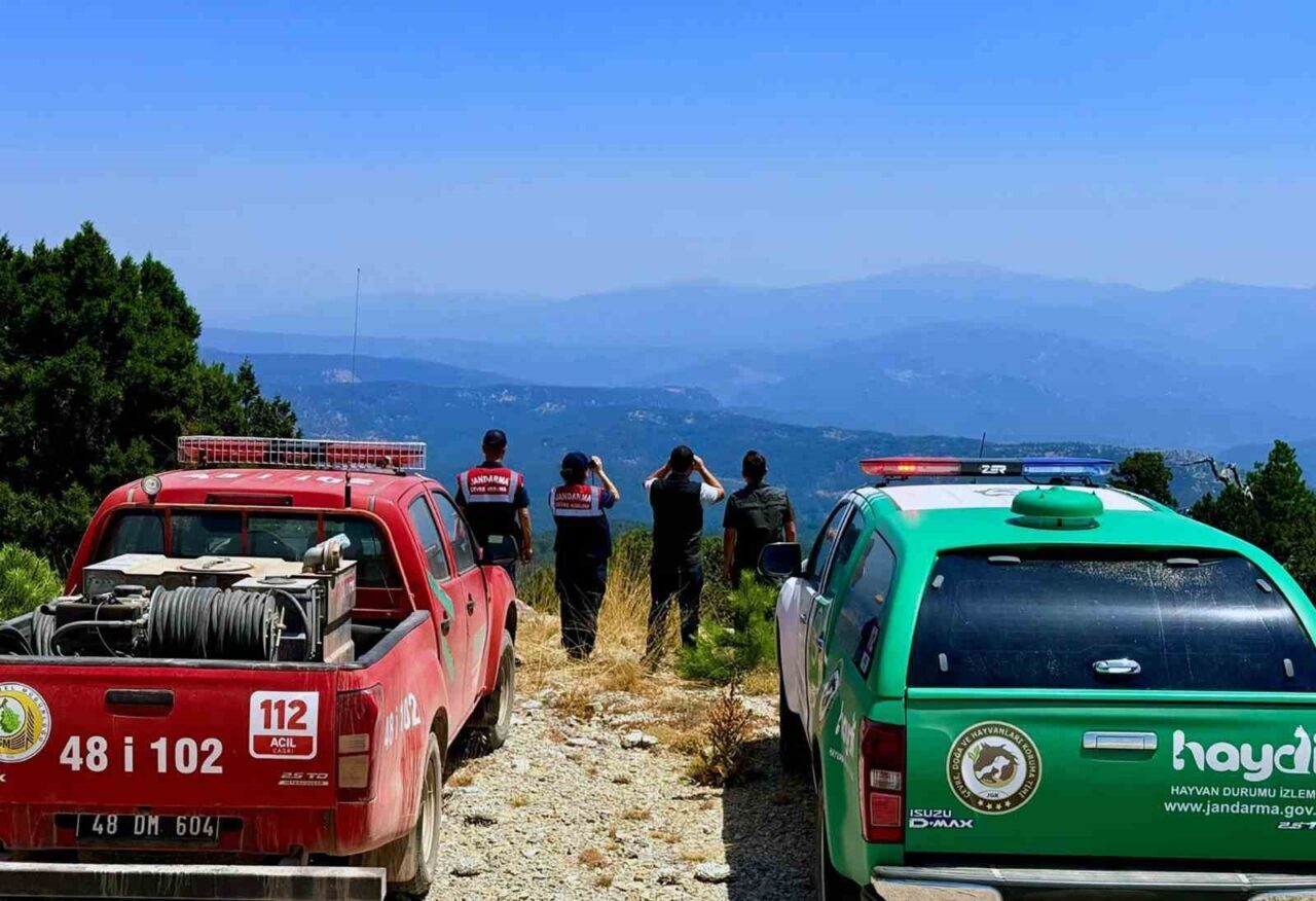 Yüzde 67’si ormanlarla kaplı ve yangına en hassas iller arasında