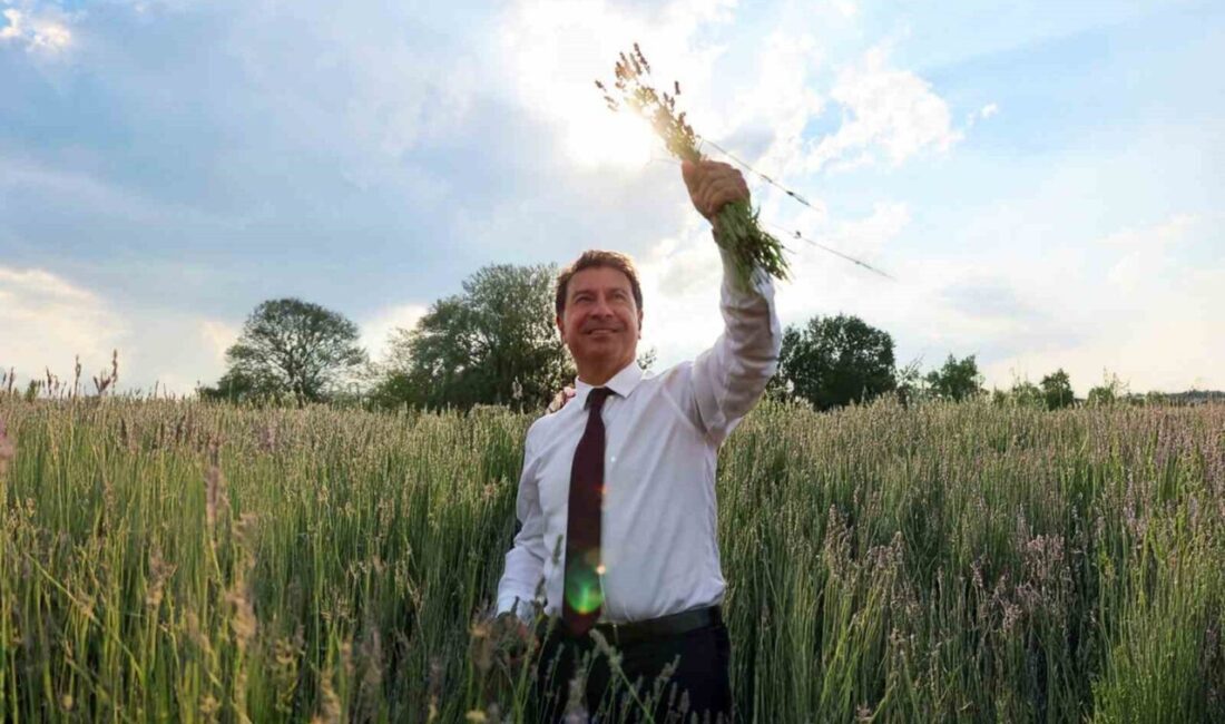 Muğla Büyükşehir Belediyesi tarafından kurulan Yerel Tohum Distilasyon Tesisi, hem