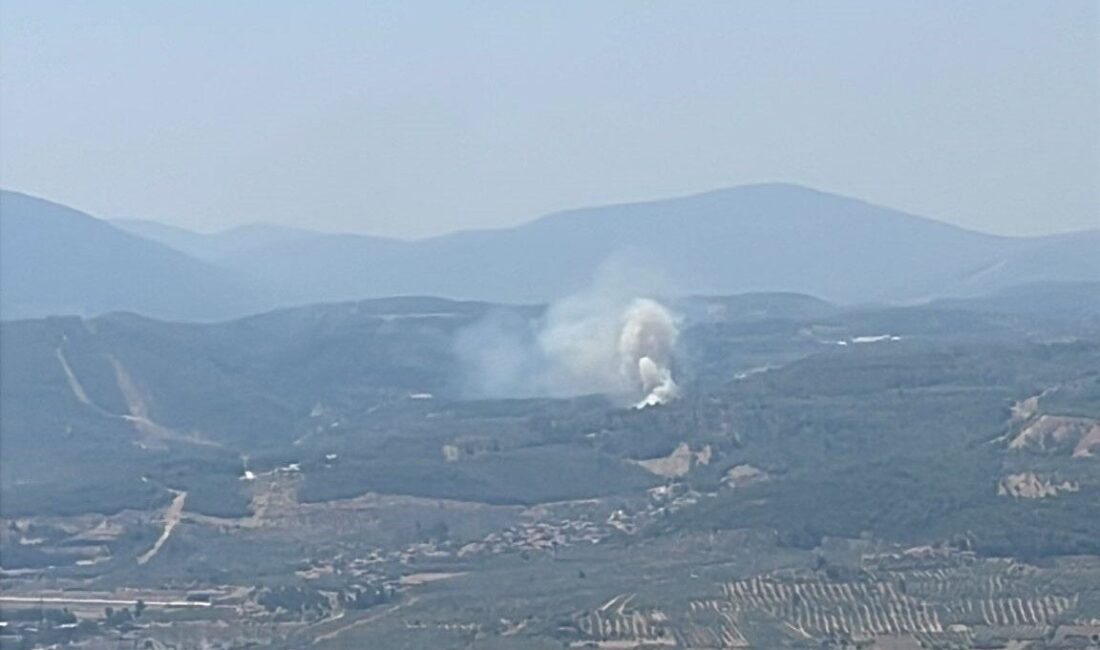 Muğla’nın Yatağan ilçesinde karayoluna yakın bölgedeki ormanlık alanda yangın çıktı.