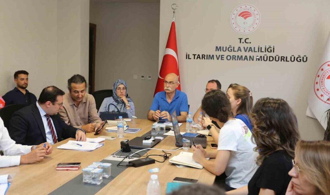 Su Yönetimi Genel Müdürlüğü tarafından yürütülen “Batı Akdeniz Havzası Taşkın