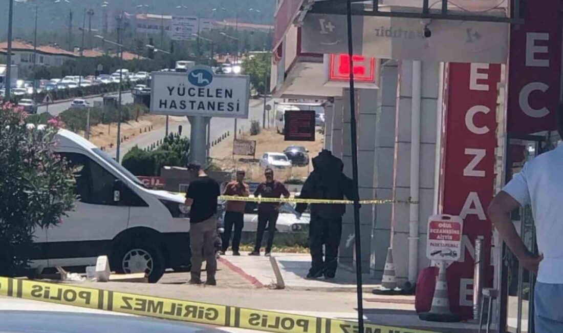 Muğla’nın Menteşe ilçesine bağlı Kötekli Mahallesi’nde yol kenarında bulunan iki
