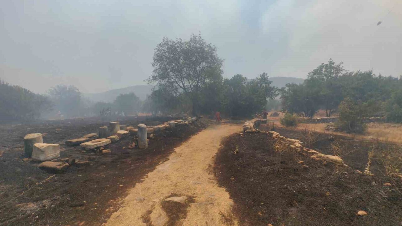 Muğla’da zirai alanda başlayan ve etrafındaki ağaçlık alana da sıçrayan