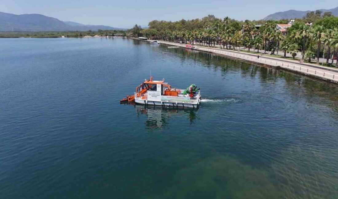 Muğla Büyükşehir Belediyesi, Köyceğiz Gölü ve Dalyan Kanalı’nda yüzey temizliği
