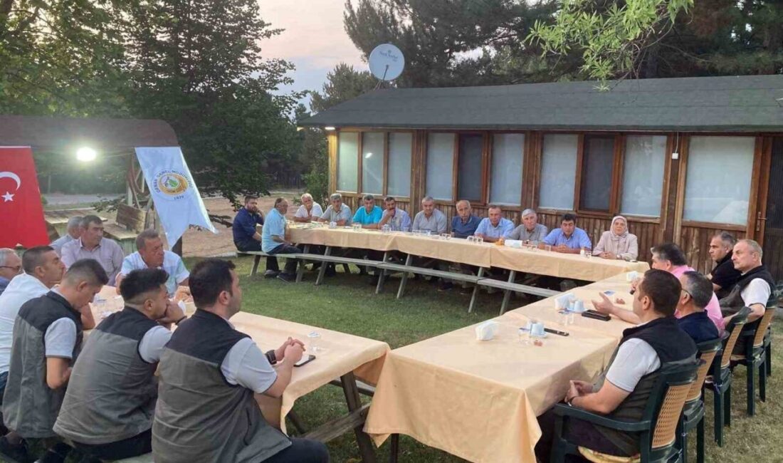 Eskişehir Orman İşletme Müdürlüğü sınırları içinde kalan Odunpazarı ilçesine bağlı