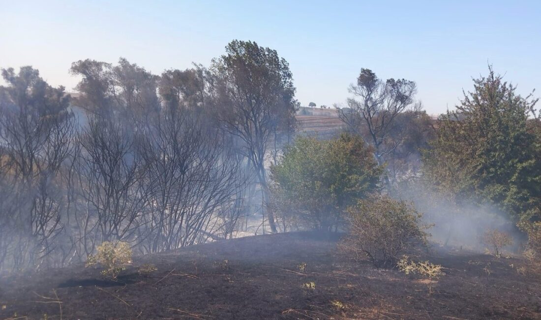 Tekirdağ’ın Muratlı ilçesinde yaşanan anız yangını, itfaiyenin mücadelesi neticesinde kontrol