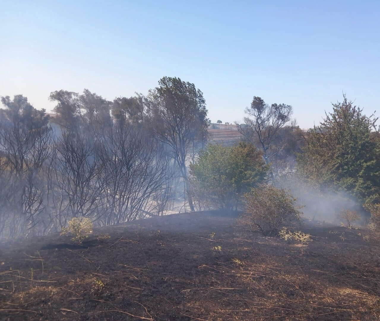 Tekirdağ’ın Muratlı ilçesinde yaşanan anız yangını, itfaiyenin mücadelesi neticesinde kontrol