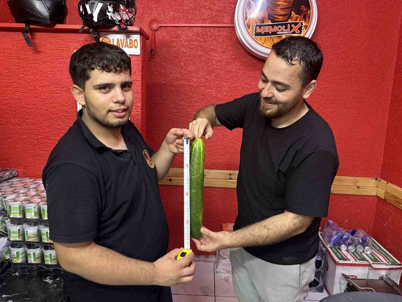 Tekirdağ’ın Muratlı ilçesinde bir işletmenin bahçesinde yetişen dev salatalık, görenleri