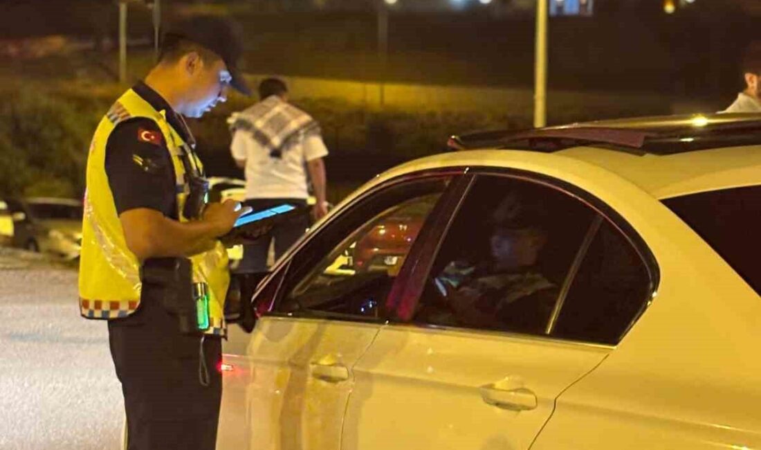 Muş’ta jandarma ekipleri tarafından huzur ve güven uygulaması gerçekleştirildi. Uygulamada