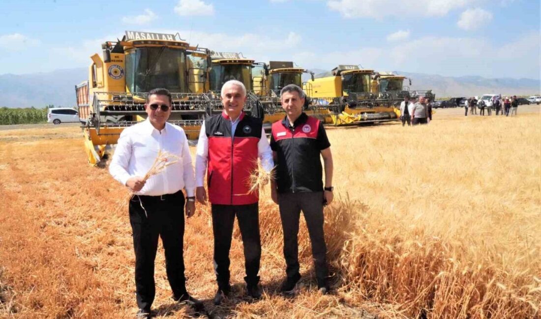 Muş Ovası’nda 2 milyon 100 bin dekar alanda ekimi yapılan