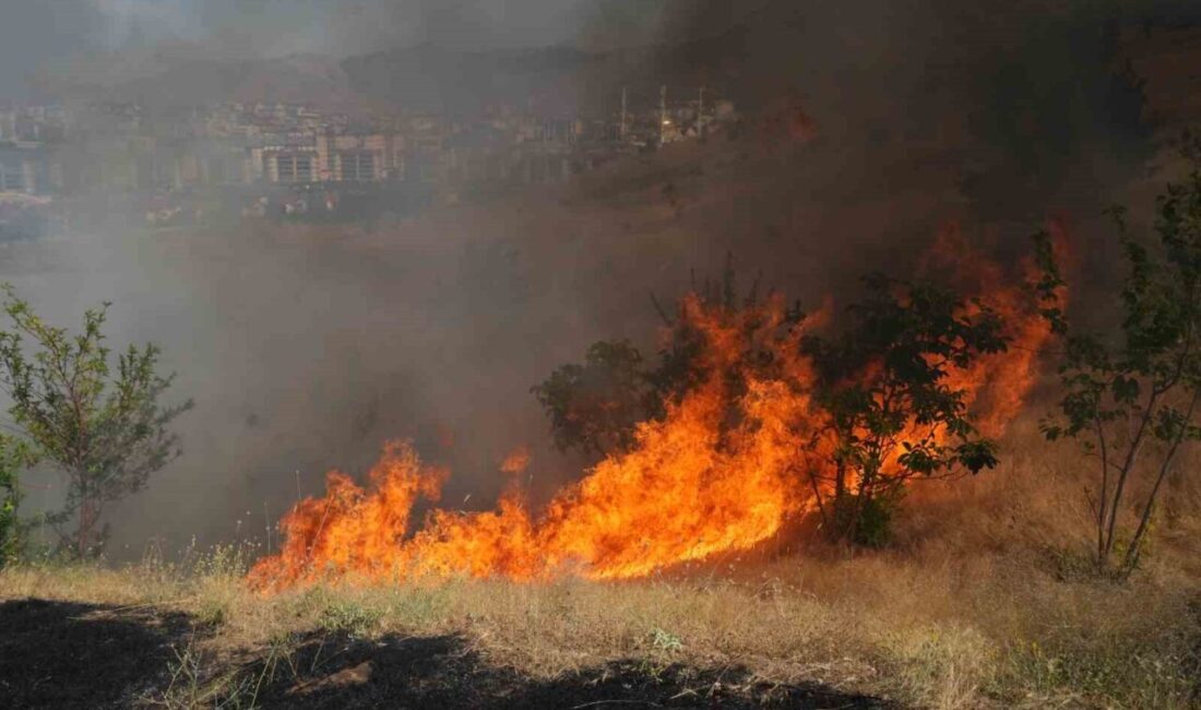 Muş’ta çıkan örtü yangını, ekiplerin zamanında müdahalesiyle kontrol altına alındı.