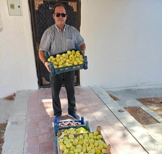 Mersin’in Mut ilçesinde beyaz incir hasadı başladı. Yaklaşık 15 bin