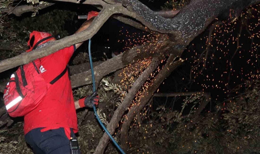 Nazilli Belediyesi Afet ve Acil Durum Ekibi (NAFAD), bölgedeki yangınların
