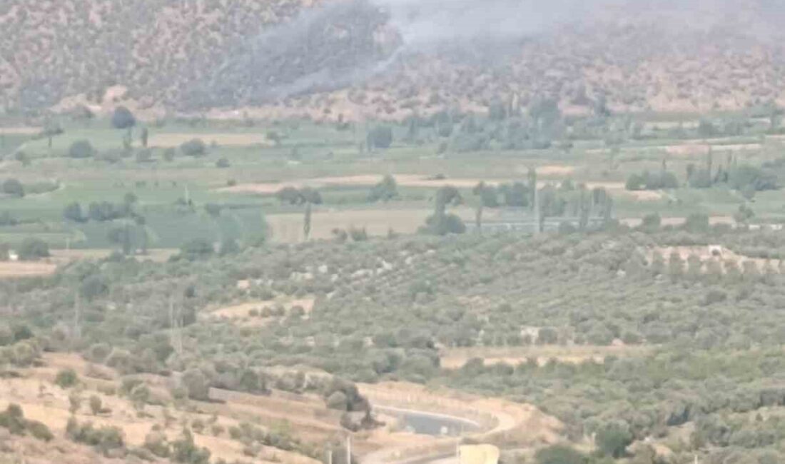 Aydın’ın Nazilli ilçesinde makilik ve zirai alanda yangın çıktı. Edinilen