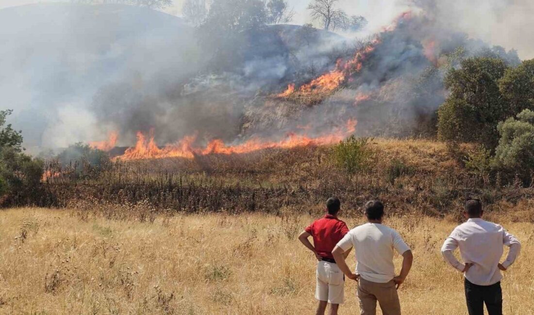 Aydın’ın Nazilli ilçesinde zirai alanda çıkan yangın, ekiplerin hızlı müdahalesiyle