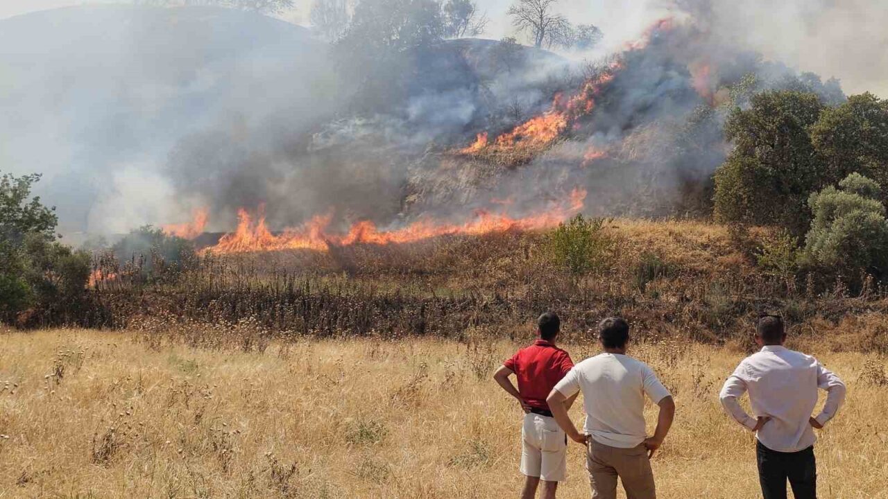 Aydın’ın Nazilli ilçesinde zirai alanda çıkan yangın, ekiplerin hızlı müdahalesiyle