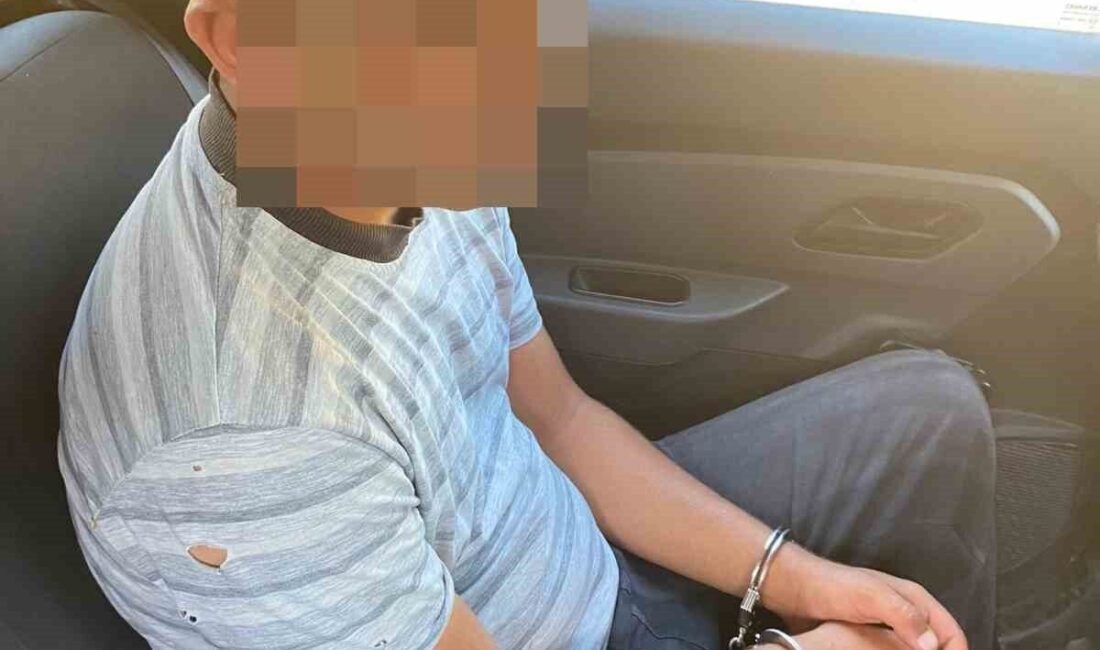 Aydın’ın Nazilli ilçesinde makilik ve zirai alanda çıkan yangınla ilgili