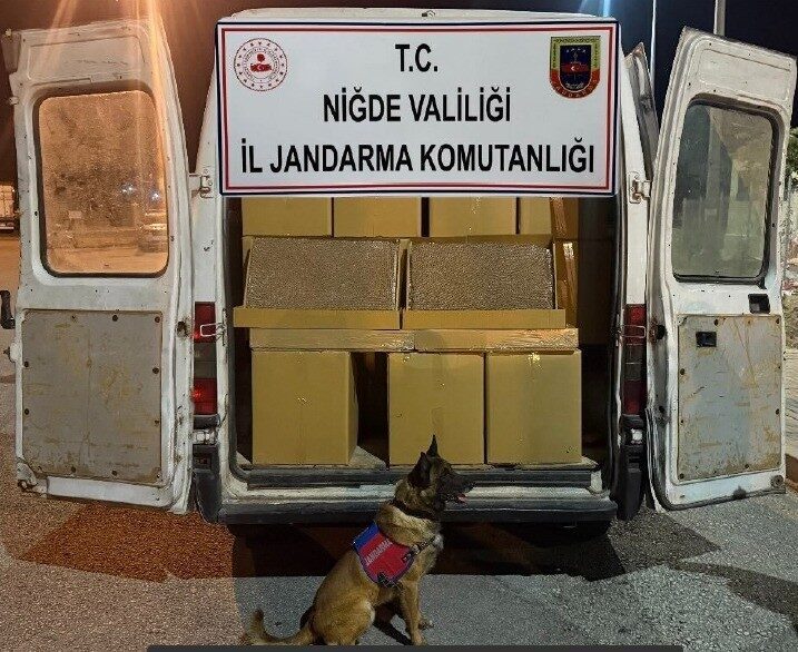 Niğde İl Jandarma Komutanlığı ekiplerince yürütülen yol kontrolü ve arama