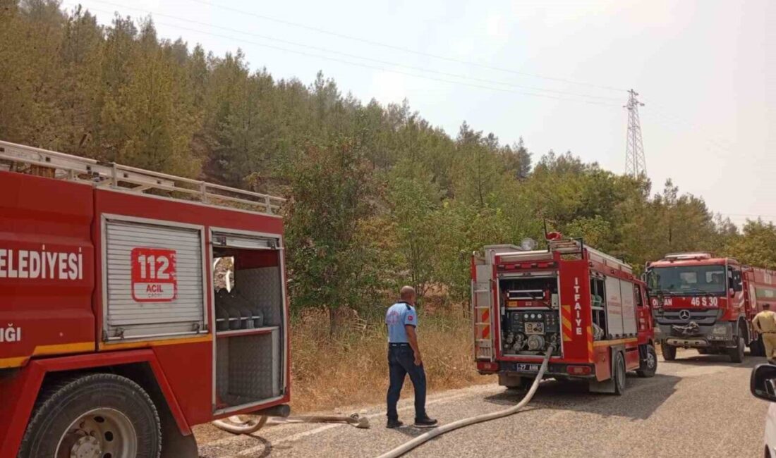 Gaziantep’in Nizip ilçesine bağlı Belkız Köyü Mesire Alanı’nda bugün öğle