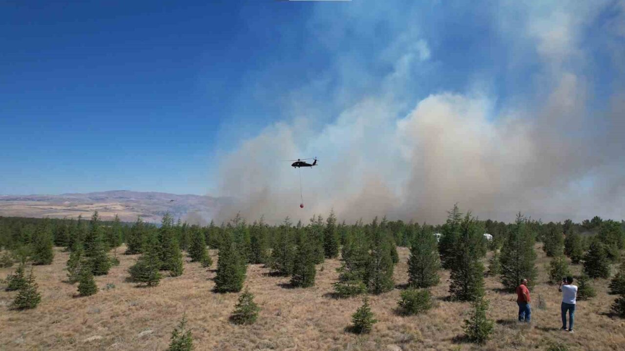 Ankara’da Orta Doğu Teknik Üniversitesi (ODTÜ) ormanlık alanında çıkan yangın