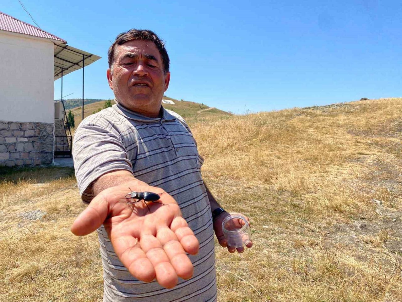 Sivas’ın Yıldızeli ilçesinde görülen Uluslararası Doğayı Koruma Birliği (IUCN) kırmızı