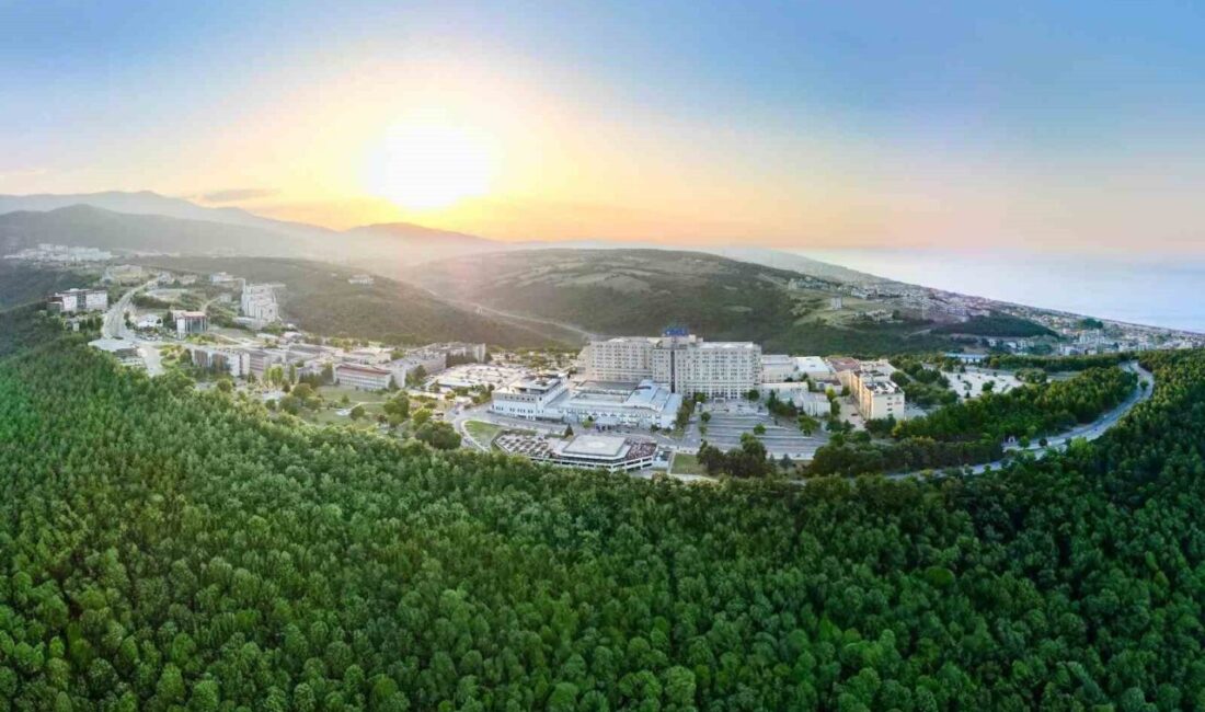 Ondokuz Mayıs Üniversitesi (OMÜ), eğitimde kalite güvencesi ve kurumsal gelişim